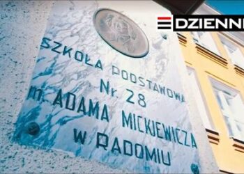 Wydanie DZIENNIKA z dn. 20.11.2020