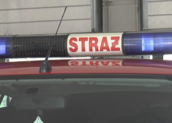 Radomscy strażacy uratowali ciężarną kobietę z płonącego domu