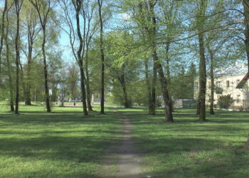 Uwaga na opryski przeciwko kleszczom i komarom. Będzie zakaz wchodzenia do parków!