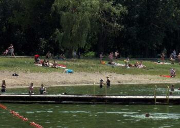 Uwaga na sinice w zalewie na Borkach! Sprawdziliśmy, gdzie można bezpiecznie się kąpać