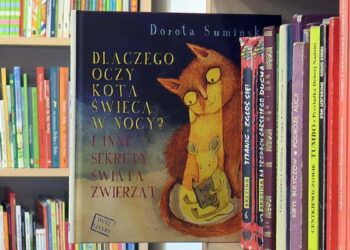 Książka na weekend: Dorota Sumińska „Dlaczego oczy kota świecą w ciemności? I inne sekrety świata zwierząt”