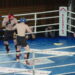 Boks, karate i K1, czyli Festiwal Sportu i Sztuk Walki w Radomiu