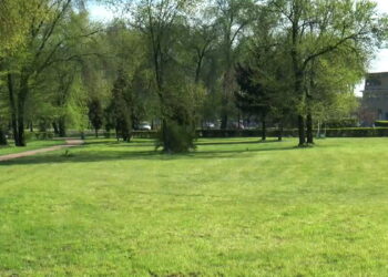 Będą kolejne opryski przeciwko komarom i kleszczom w radomskich parkach