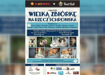 Weź udział w specjalnej akcji i pomóż zwierzętom ze schroniska przetrwać zimę