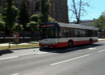 Siedem ofert na obsługę pięciu linii autobusowych w Radomiu