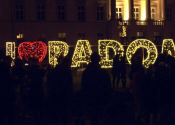 Radom rozświetlony na święta. Nowa iluminacja w centrum miasta uruchomiona