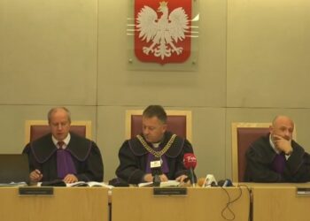 Sprawa Radosława Witkowskiego w NSA w Warszawie [ARGUMENTY STRON]