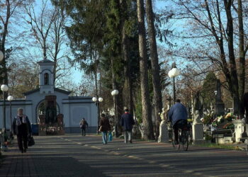 Rekordowy wynik trzydniowej kwesty na cmentarzu przy ulicy Limanowskiego