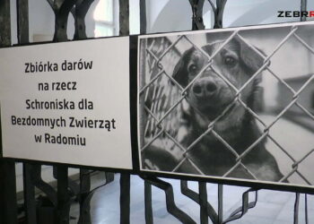 Urząd Miejski wspiera Schronisko dla Zwierząt w Radomiu