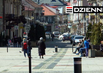 Wydanie DZIENNIKA z dn. 30.04.2020