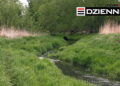 Wydanie DZIENNIKA z dn. 12.05.2020