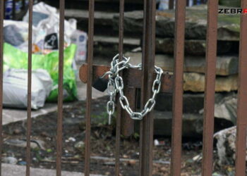 Na Halinowie psy mieszkają w śmieciach. Interweniują mieszkańcy