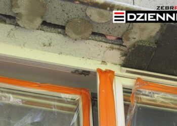 Wydanie DZIENNIKA z dn. 24.06.2020