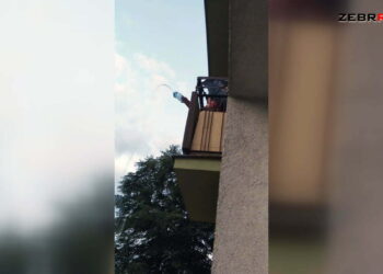 Uciążliwa sąsiadka utrudnia życie mieszkańcom osiedla planty