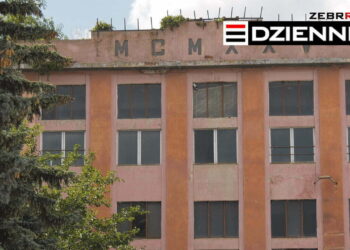 Wydanie DZIENNIKA z dn. 11.08.2020