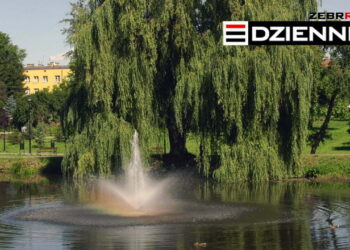 Wydanie DZIENNIKA z dn. 19.08.2020