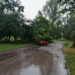 Nawałnica przeszła przez region radomski
