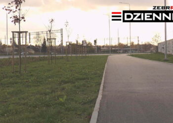 Wydanie DZIENNIKA z dn. 30.10.2020