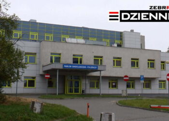 Wydanie DZIENNIKA z dn. 09.11.2020