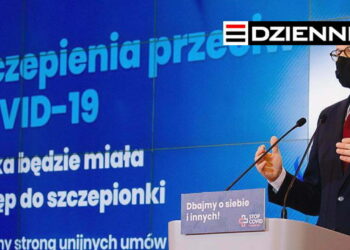 Wydanie DZIENNIKA z dn. 10.11.2020