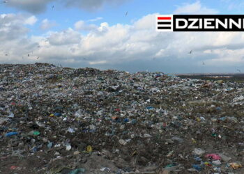 Wydanie DZIENNIKA z dn. 30.12.2020