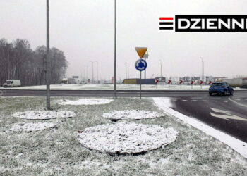 Wydanie DZIENNIKA z dn. 25.01.2021