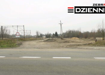 Wydanie DZIENNIKA z dn. 11.02.2021