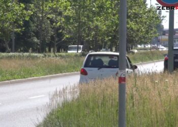 Wysoka trawa utrudnia ruch drogowy w Radomiu. ZUK będzie ją kosił, ale nie wszędzie