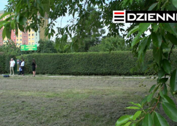 Wydanie DZIENNIKA z dn. 20.07.2021