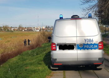 Na radomskich Borkach znaleziono ciało mężczyzny