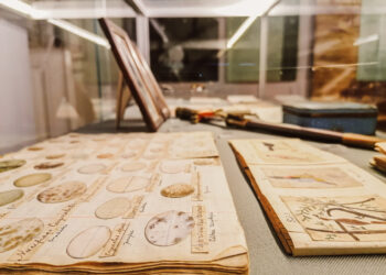 Dwie nowe ekspozycje w Muzeum im. Jacka Malczewskiego w Radomiu