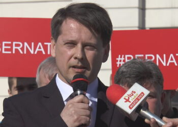 SLD stawia na Bernata