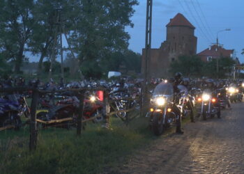 Gryf Party 2014 – nocna parada