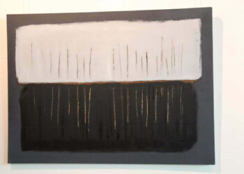 Zygmunt Droński 2×4#8 – galeria
