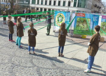 Leśna edukacja dla najmłodszych