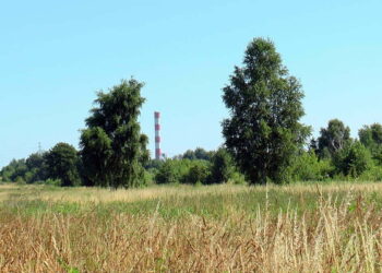 Na Brzustówce powstanie nowy market budowlany?