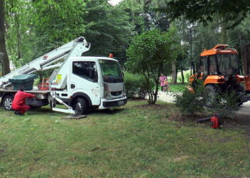 W parku na Plantach zniknie 22, a nie 71 drzew