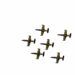 AIR SHOW 2015 przeżyjmy to jeszcze raz: Baltic Bees