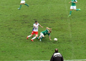 Co dzieje się z murawą na stadionie przy Narutowicza?