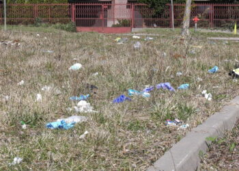 Jednorazowe rękawiczki zaśmiecają radomskie trawniki