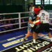 Wojda Boxing Night 4: Paweł Gnyś vs Maciej Klimek