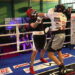 Wojda Boxing Night 4: Jacek Brodalka vs Arkadiusz Bogucki