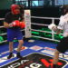 Wojda Boxing Night 4: Paweł Kowalski vs Mariusz Barszczewski
