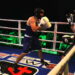 Wojda Boxing Night 4: Konrad Rajchel vs Radosław Bonisławski