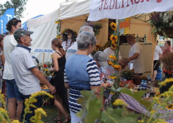 Święto Plonów w Jedlińsku