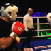Wojda Boxing Night 4: Marcin Skrzek vs Karol Wołoszyn