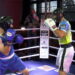 Karol Pańczyk vs Adrian Majak [WALKA]