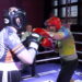Arkadiusz Bogucki vs Kamil Kapusta [WALKA]
