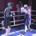 Mateusz Lipka vs Dominik Strawa [WALKA]