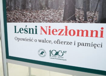 Leśni Niezłomni – opowieść o walce, ofierze i pamięci